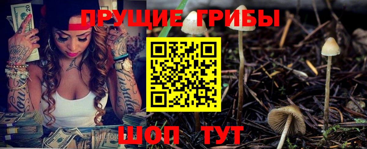 Медногорск  Галлюциногенные грибы Psilocybine cubensis  Вход с VPN  Псилоцибиновые грибы мухоморы 
